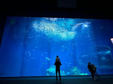 アクアワールド茨城県大洗水族館に投稿された画像（2024/3/8）