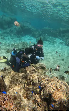 武藤潜水に投稿された画像（2024/3/8）