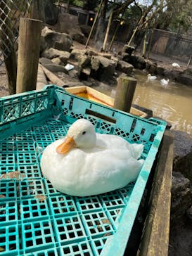 伊豆シャボテン動物公園に投稿された画像（2024/3/8）