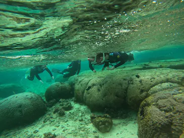 武藤潜水に投稿された画像（2024/3/8）
