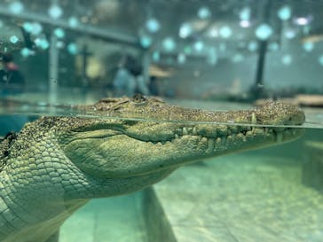 NIFREL（ニフレル）に投稿された画像（2024/3/8）