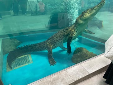 NIFREL（ニフレル）に投稿された画像（2024/3/8）