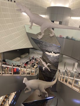 福井県立恐竜博物館に投稿された画像（2024/3/8）