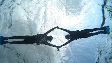 宮古島 ADVENTURE PiPi（ミヤコジマ アドベンチャー ピピ）に投稿された画像（2024/3/8）