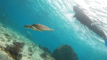 宮古島 ADVENTURE PiPi（ミヤコジマ アドベンチャー ピピ）に投稿された画像（2024/3/8）