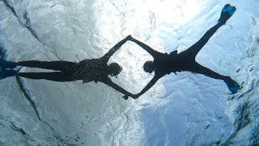 宮古島 ADVENTURE PiPi（ミヤコジマ アドベンチャー ピピ）に投稿された画像（2024/3/8）