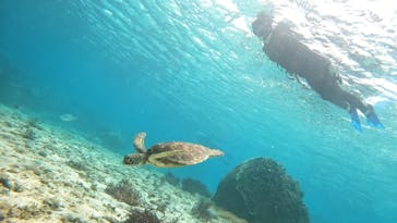 宮古島 ADVENTURE PiPi（ミヤコジマ アドベンチャー ピピ）に投稿された画像（2024/3/8）