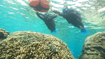 宮古島 ADVENTURE PiPi（ミヤコジマ アドベンチャー ピピ）に投稿された画像（2024/3/8）