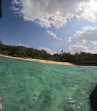 沖縄マリンサービス碧に投稿された画像（2024/3/8）