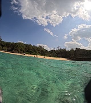 沖縄マリンサービス碧に投稿された画像（2024/3/8）