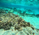 沖縄マリンサービス碧に投稿された画像（2024/3/8）