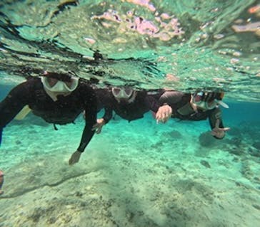 沖縄マリンサービス碧に投稿された画像（2024/3/8）