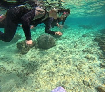 沖縄マリンサービス碧に投稿された画像（2024/3/8）