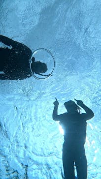 宮古島 ADVENTURE PiPi（ミヤコジマ アドベンチャー ピピ）に投稿された画像（2024/3/8）