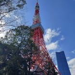 東京タワーに投稿された画像（2024/3/8）