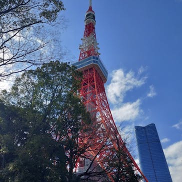 東京タワーに投稿された画像（2024/3/8）