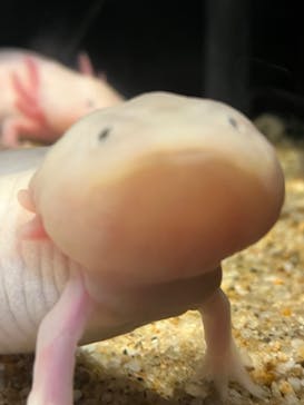 しながわ水族館に投稿された画像（2024/3/8）