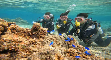 武藤潜水に投稿された画像（2024/3/8）