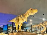 福井県立恐竜博物館に投稿された画像（2024/3/8）