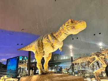 福井県立恐竜博物館に投稿された画像（2024/3/8）