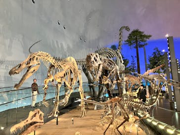 福井県立恐竜博物館に投稿された画像（2024/3/8）