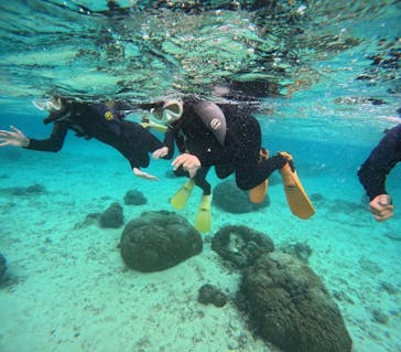 沖縄マリンサービス碧に投稿された画像（2024/3/8）