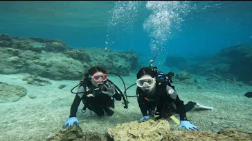 武藤潜水に投稿された画像（2024/3/8）