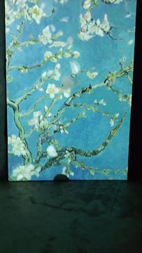 ゴッホ・アライブに投稿された画像（2024/3/8）