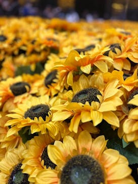 ゴッホ・アライブに投稿された画像（2024/3/8）