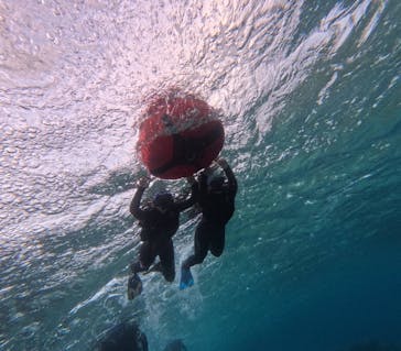 宮古島 ADVENTURE PiPi（ミヤコジマ アドベンチャー ピピ）に投稿された画像（2024/3/8）