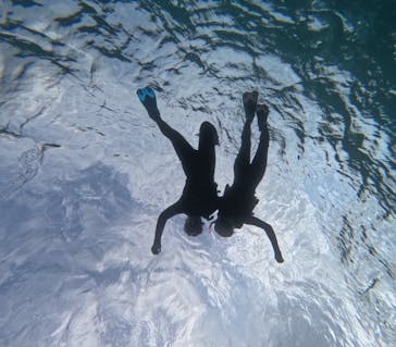 宮古島 ADVENTURE PiPi（ミヤコジマ アドベンチャー ピピ）に投稿された画像（2024/3/8）