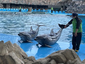 名古屋港水族館に投稿された画像（2024/3/8）