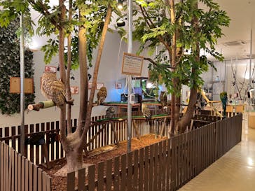 Moff animal cafe イオンモール幕張新都心店に投稿された画像（2024/3/8）