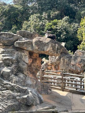 到津の森公園に投稿された画像（2024/3/8）