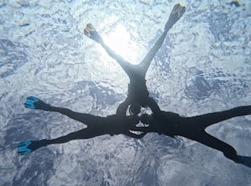 宮古島 ADVENTURE PiPi（ミヤコジマ アドベンチャー ピピ）に投稿された画像（2024/3/8）