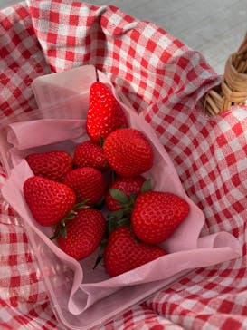 空飛ぶいちご東京に投稿された画像（2024/3/8）