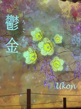 NAKED meets 二条城 2025 観月に投稿された画像（2024/3/8）