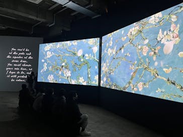 ゴッホ・アライブに投稿された画像（2024/3/8）