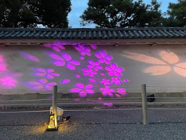 NAKED meets 二条城 2025 観月に投稿された画像（2024/3/8）