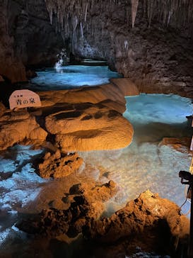 おきなわワールドに投稿された画像（2024/3/8）