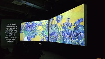 ゴッホ・アライブに投稿された画像（2024/3/8）