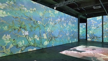 ゴッホ・アライブに投稿された画像（2024/3/8）