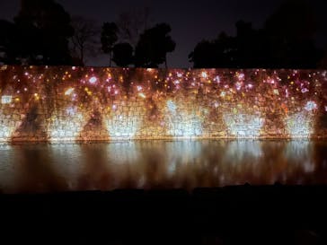 NAKED meets 二条城 2025 観月に投稿された画像（2024/3/8）