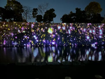 NAKED meets 二条城 2025 観月に投稿された画像（2024/3/8）