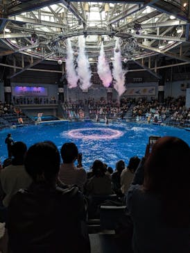 マクセル アクアパーク品川に投稿された画像（2024/3/8）