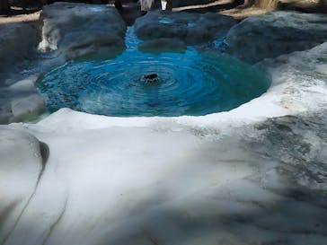 偕楽園本園に投稿された画像（2024/3/8）