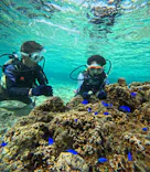 沖縄マリンサービス碧に投稿された画像（2024/3/9）