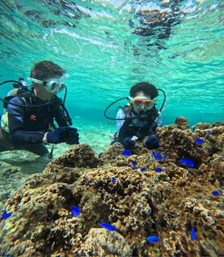 沖縄マリンサービス碧に投稿された画像（2024/3/9）