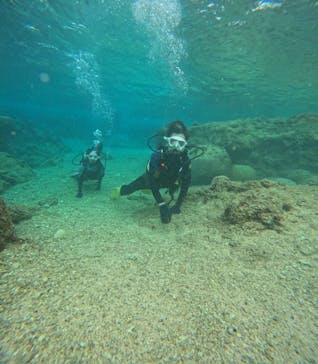 沖縄マリンサービス碧に投稿された画像（2024/3/9）