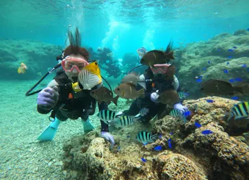 武藤潜水に投稿された画像（2024/3/9）